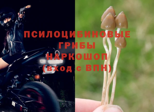 каннабис Алексин